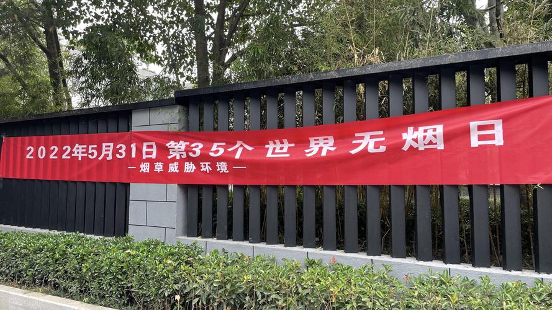 表善香烟